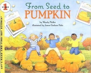 Image result for from seed to pumpkin