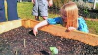 Haw Creek Roots garden
