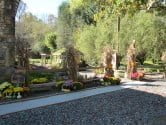 Bald Creek garden