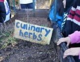 herb sign cropped