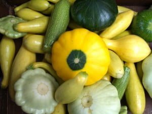 Squash is the Get Local vegetable for June