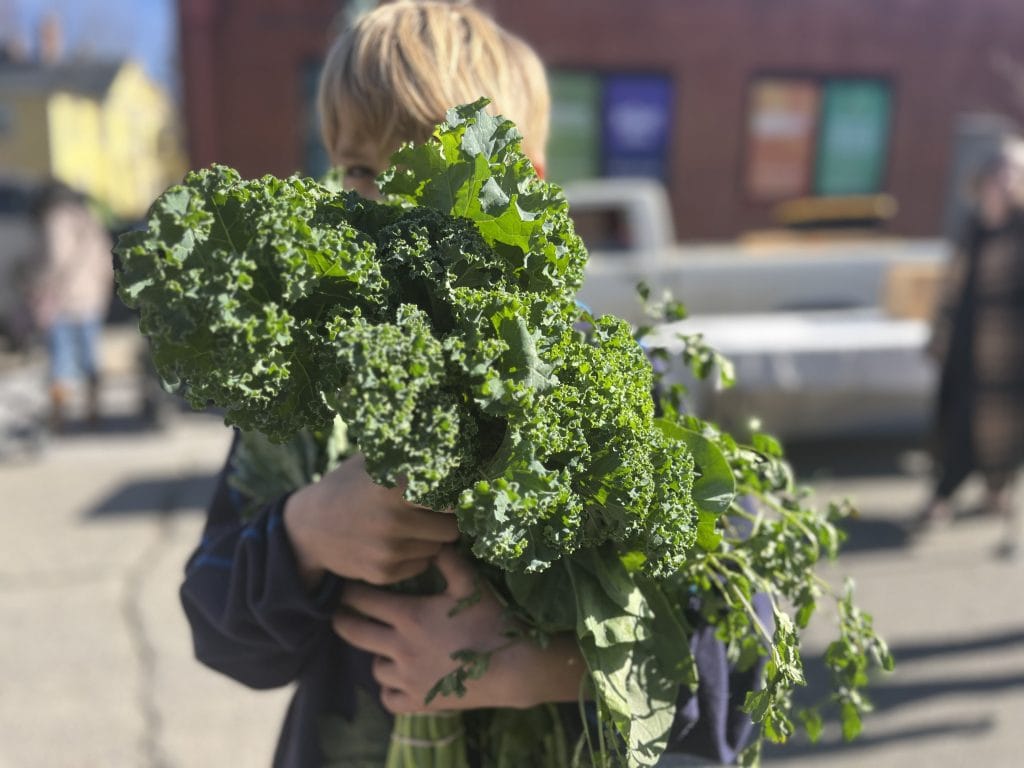 Kale Pasta – Cafeteria Scale