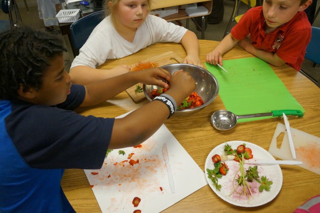 Strawberry Salsa