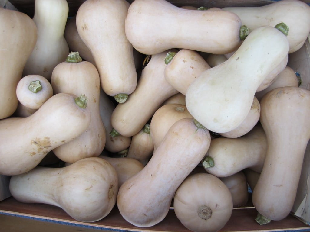 Biltmore’s Apple and Butternut Squash Soup