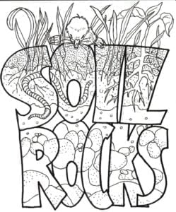 soilrocks
